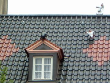 Steildach mit farblich verschiedenen Ziegeln